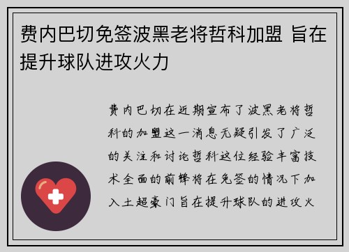 费内巴切免签波黑老将哲科加盟 旨在提升球队进攻火力